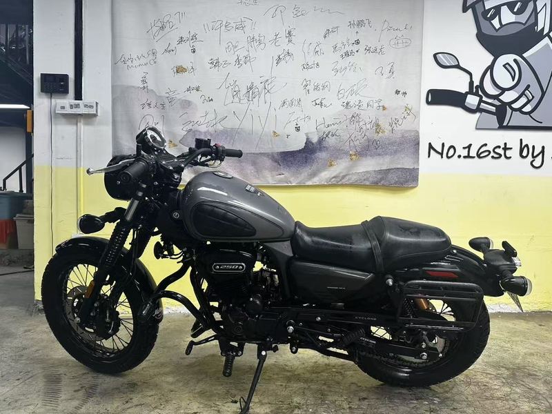 二手赛科龙RA250