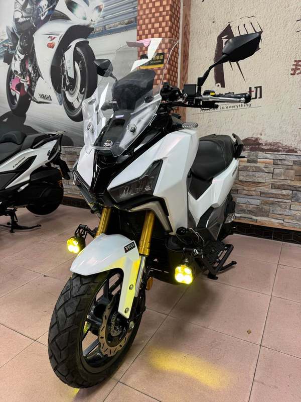 二手三阳剑齿虎 ADXTG