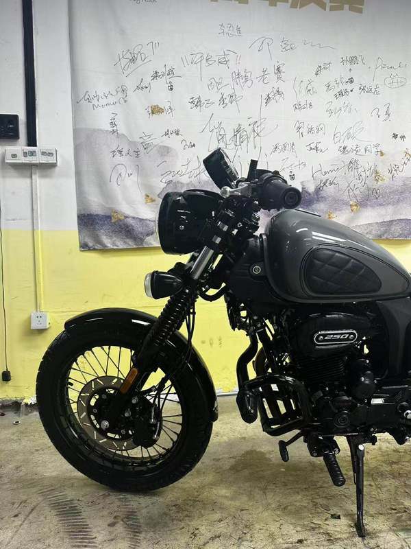 二手赛科龙RA250