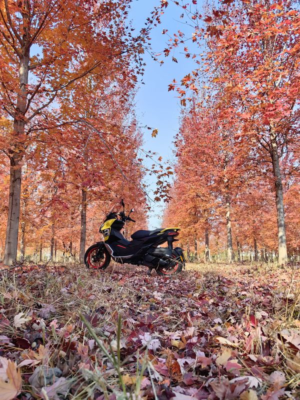 二手阿普利亚SR GT 200