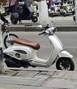 二手吉铭瓦西利卡 Vasilica 150i