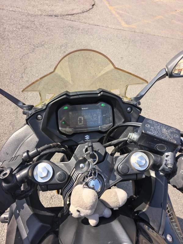 二手豪爵铃木GSX250R