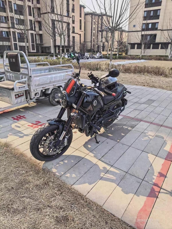 二手贝纳利幼狮 Leoncino 500