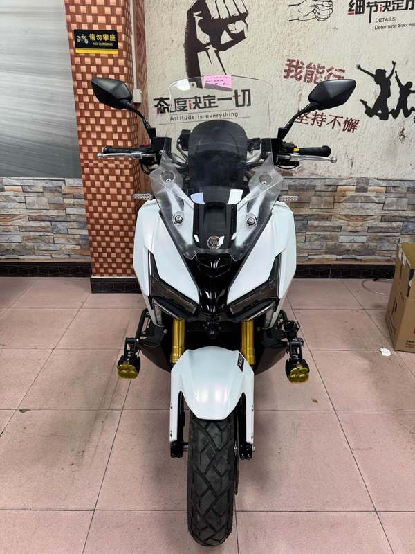 二手三阳剑齿虎 ADXTG