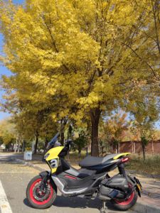 二手阿普利亚SR GT 200