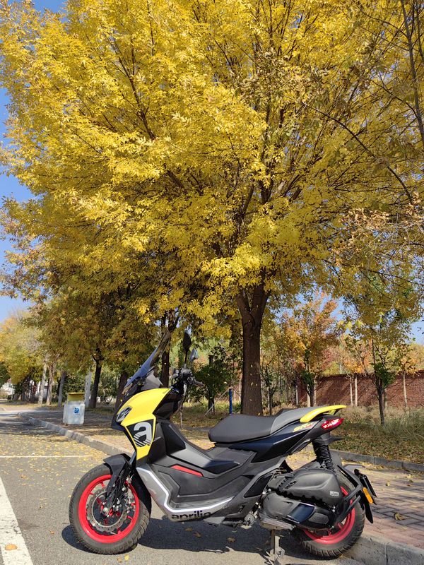 二手阿普利亚SR GT 200