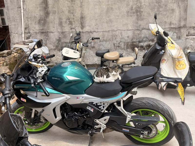 二手贝纳利龙卷风 Tornado 552R