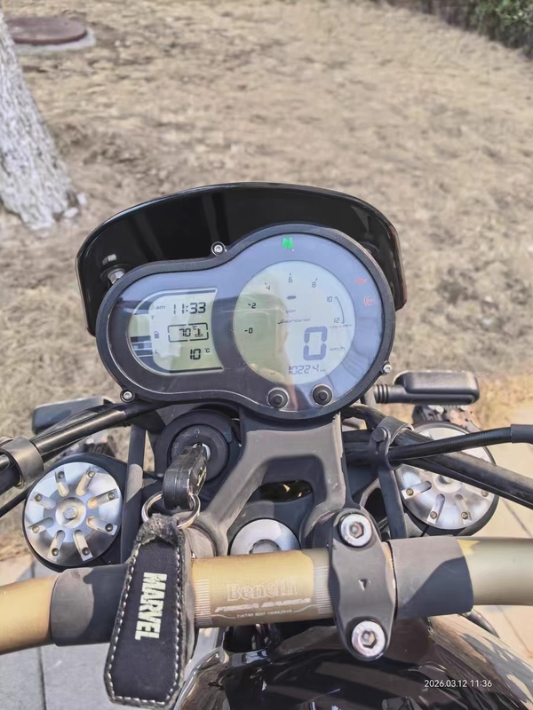 二手贝纳利幼狮 Leoncino 500