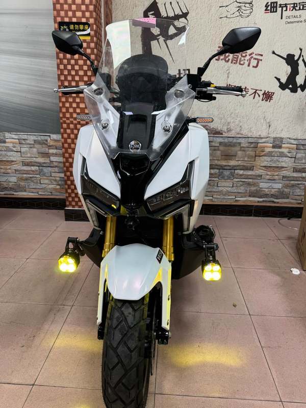 二手三阳剑齿虎 ADXTG