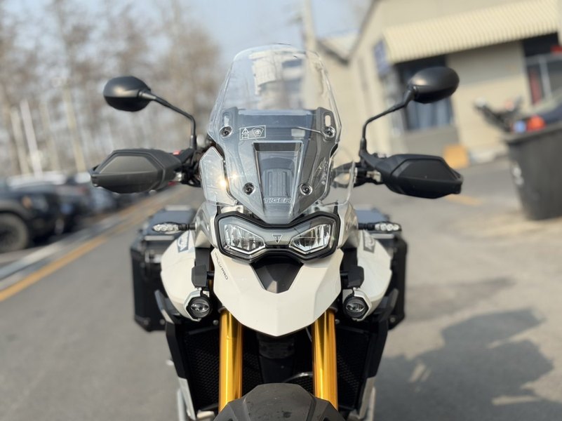 二手凯旋Tiger 900