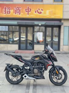 二手无极300R