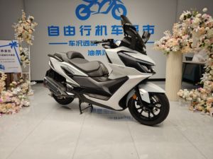 二手三阳巡弋 Cruisym400