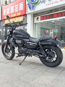 二手赛科龙RA250