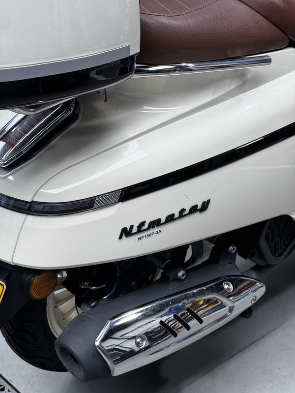 二手南方梦拉丽莎 飞戈