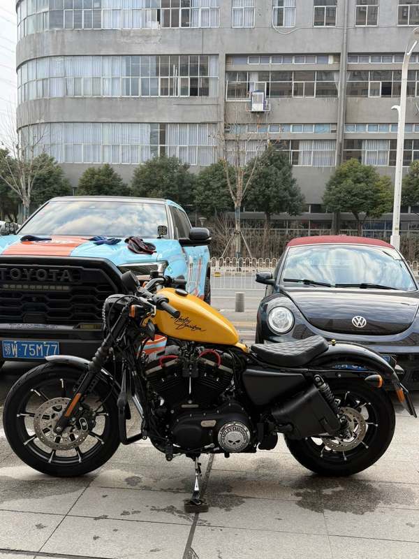 二手哈雷戴维森Iron883 硬汉