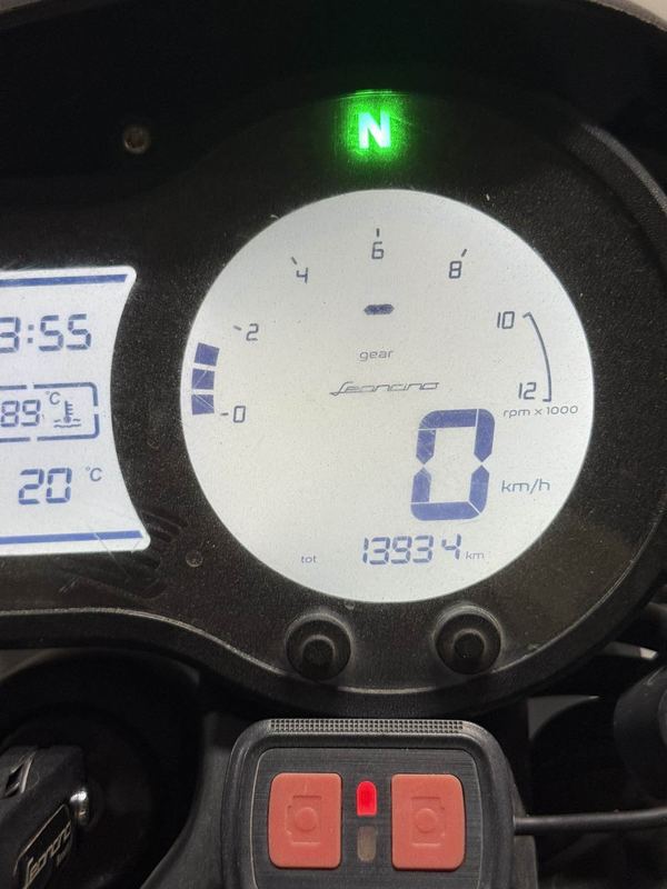 二手贝纳利幼狮 Leoncino 500