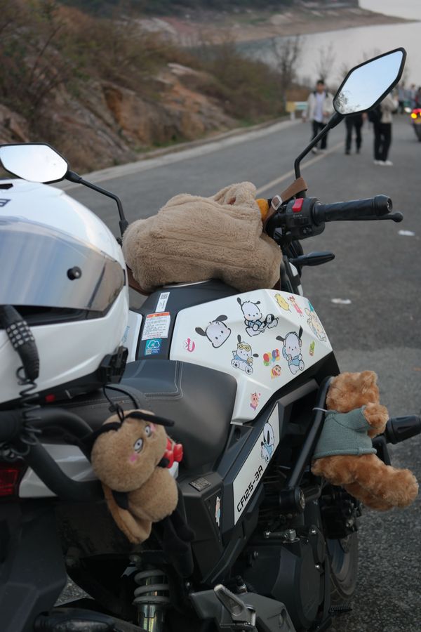 二手春风ST狒狒