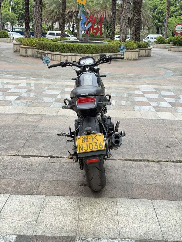 二手贝纳利幼狮 Leoncino 500