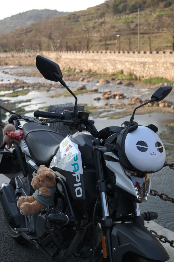 二手春风ST狒狒