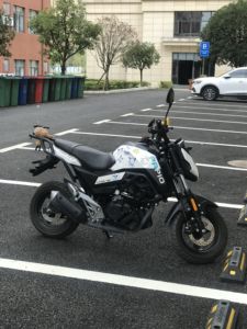 二手春风ST狒狒