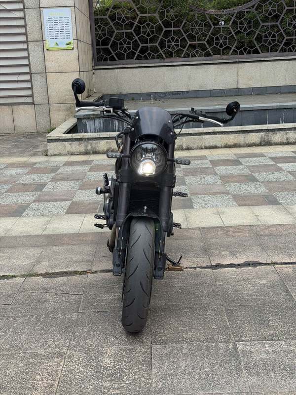 二手贝纳利幼狮 Leoncino 500