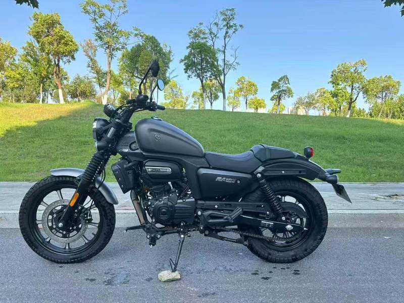 二手赛科龙RA250