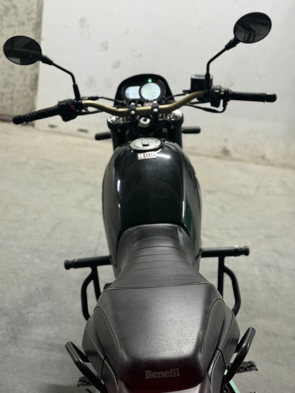 二手贝纳利幼狮 Leoncino 500