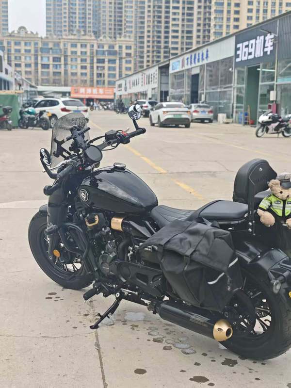 二手赛科龙RA600