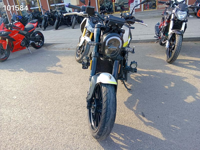 二手贝纳利幼狮 Leoncino 250