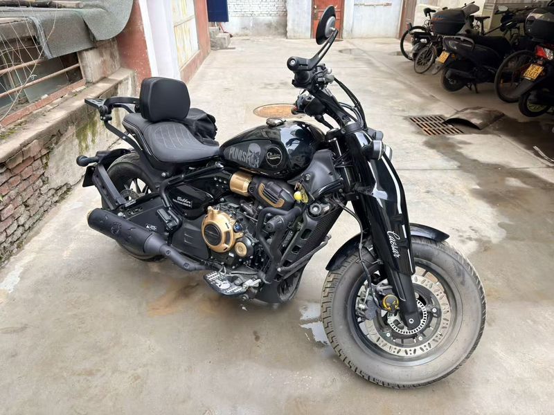 二手赛科龙RA600