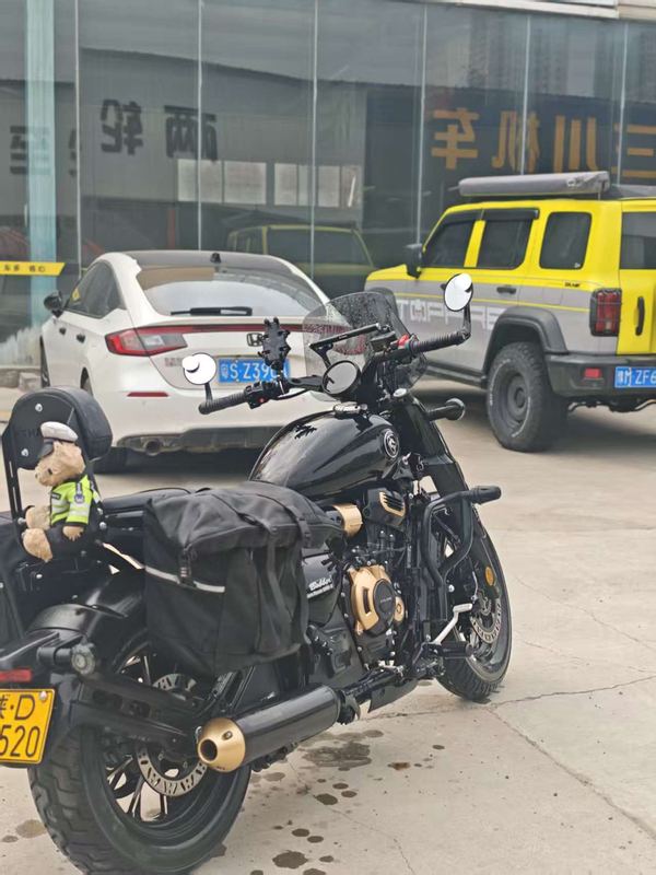 二手赛科龙RA600