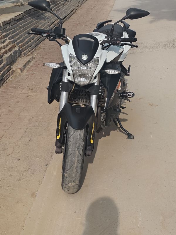 二手贝纳利TNT600i