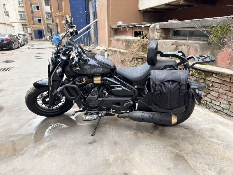 二手赛科龙RA600