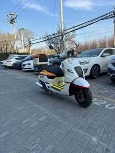 二手南方梦拉丽莎 飞戈