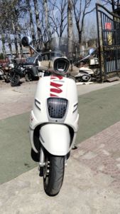 二手南方梦拉丽莎 飞戈