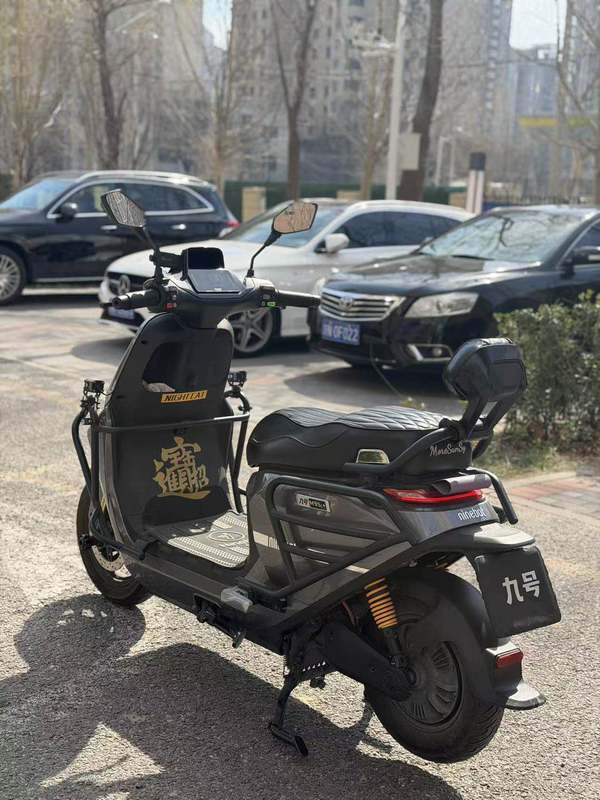 二手九号远航家M