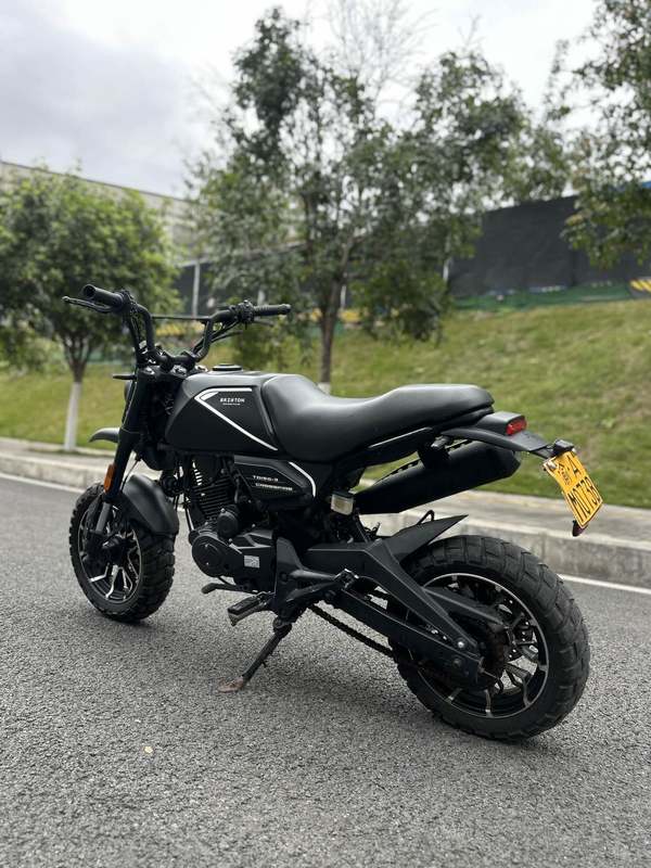 二手天地游侠布雷斯通 魔童 D5