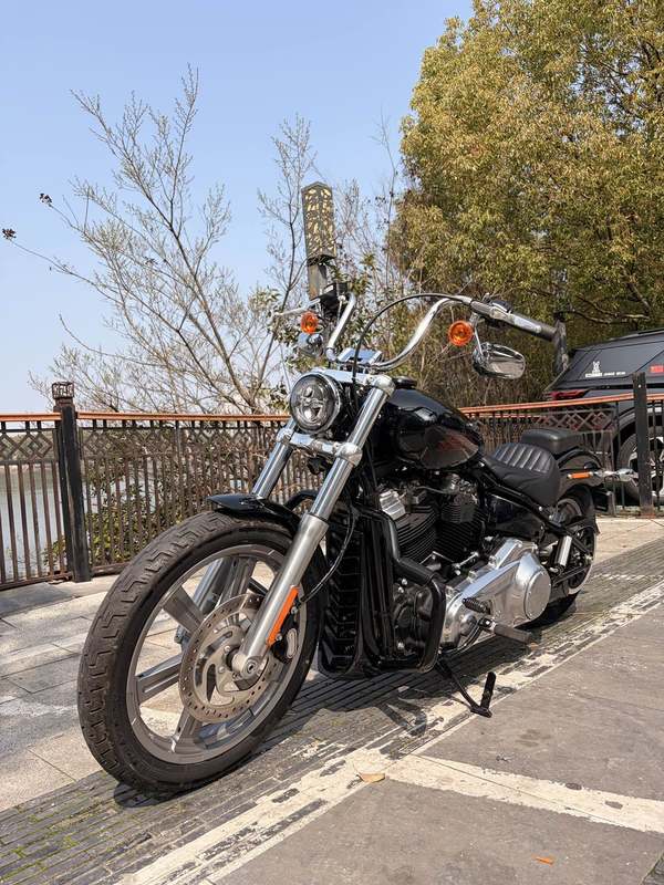 二手哈雷戴维森Softail Standard