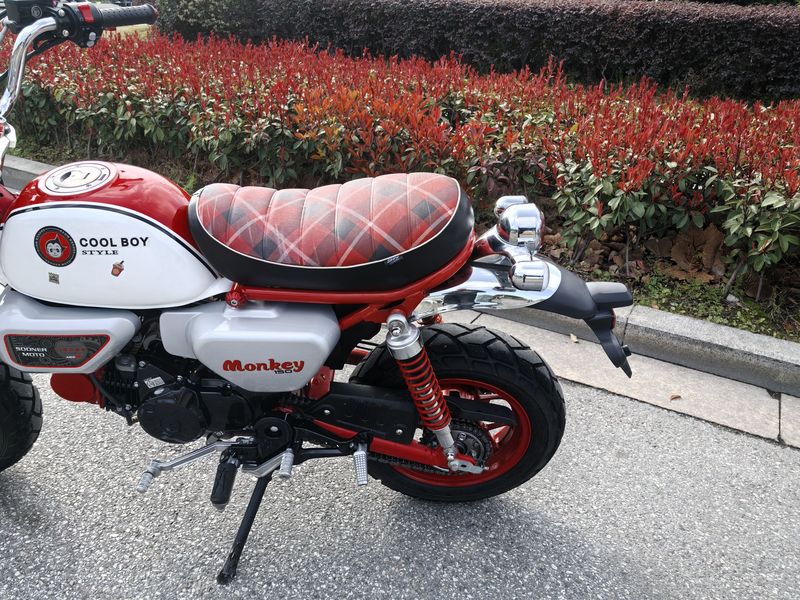 二手斯托纳猿猴