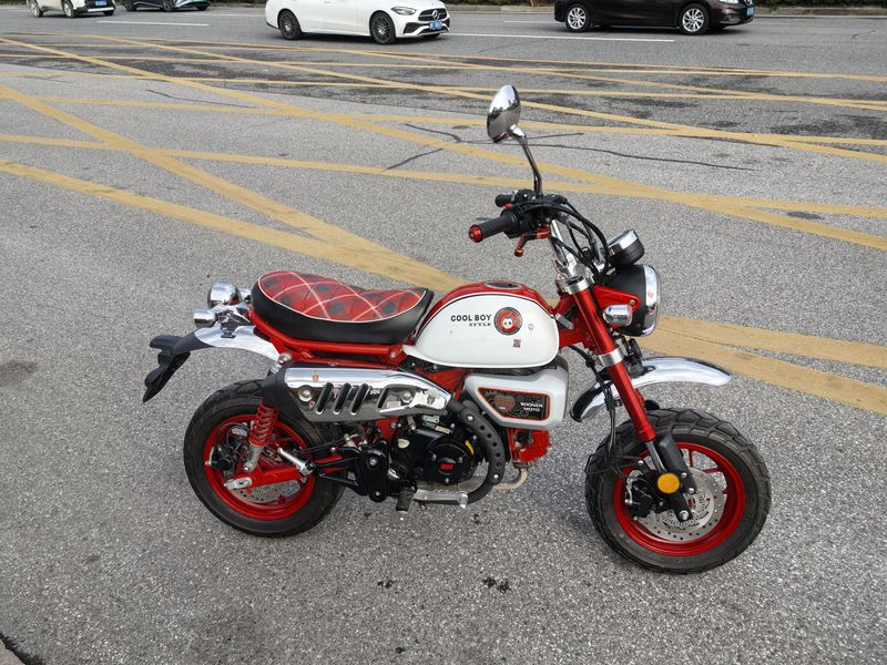 二手斯托纳猿猴