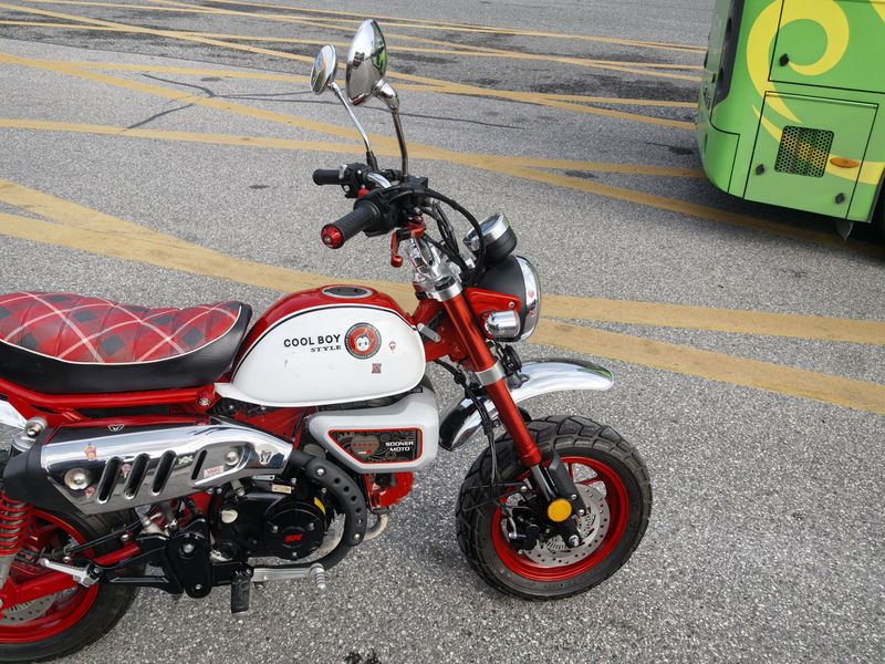 二手斯托纳猿猴