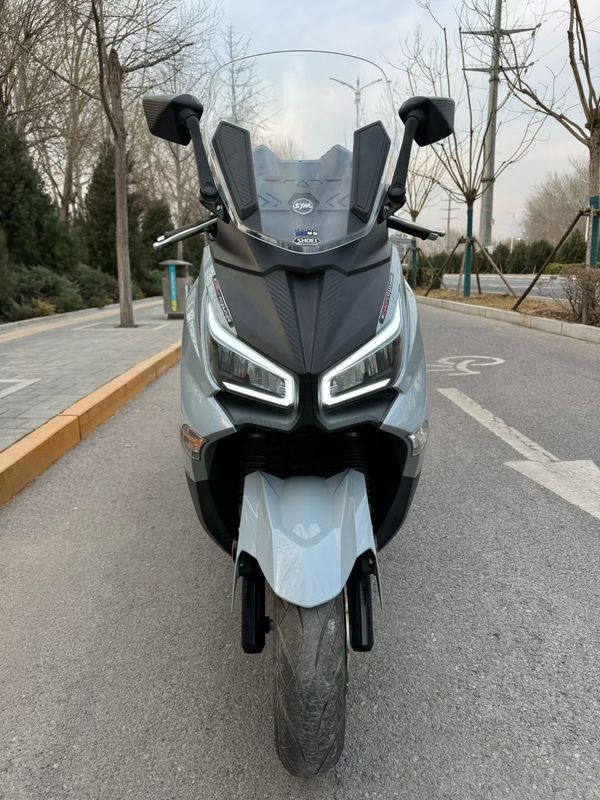 二手三阳Joymax Z 300