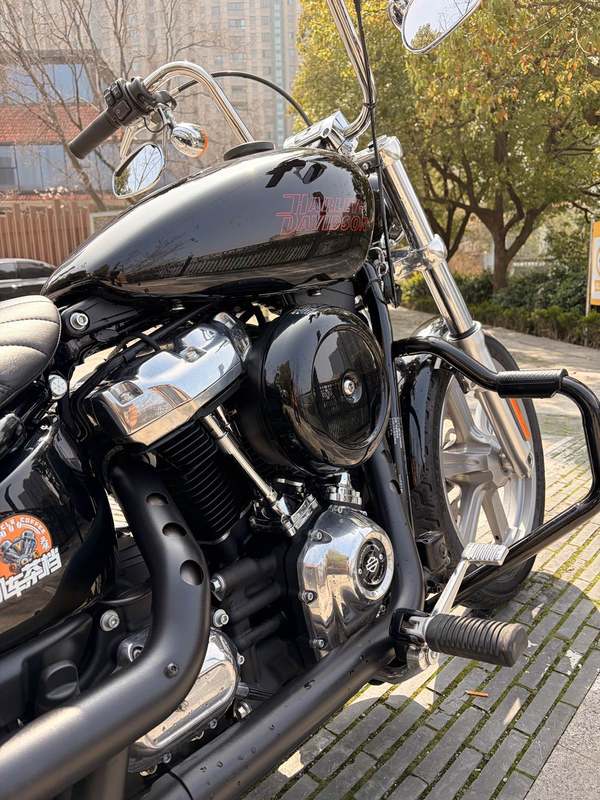 二手哈雷戴维森Softail Standard