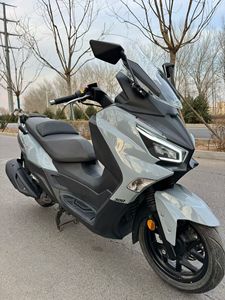 二手三阳Joymax Z 300