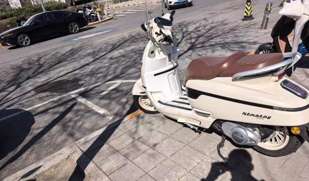 二手南方梦拉丽莎 飞戈