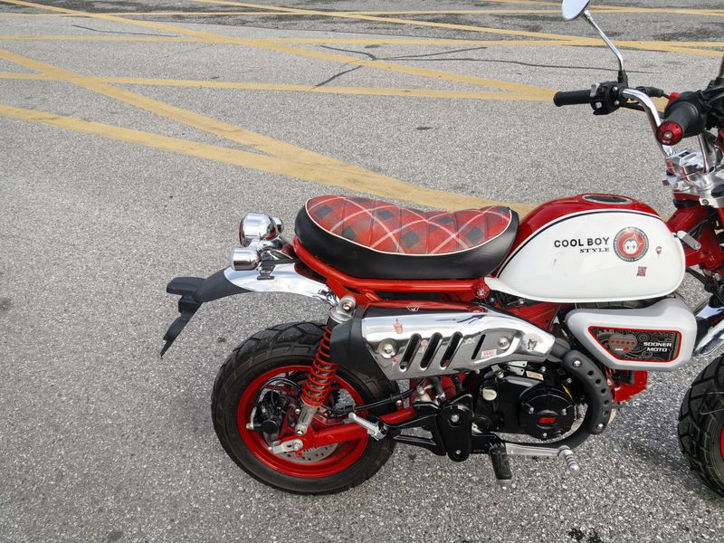 二手斯托纳猿猴