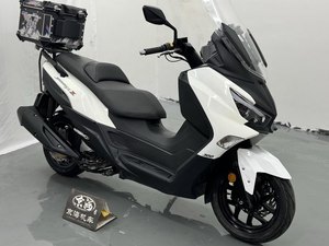 二手三阳Joymax Z 300