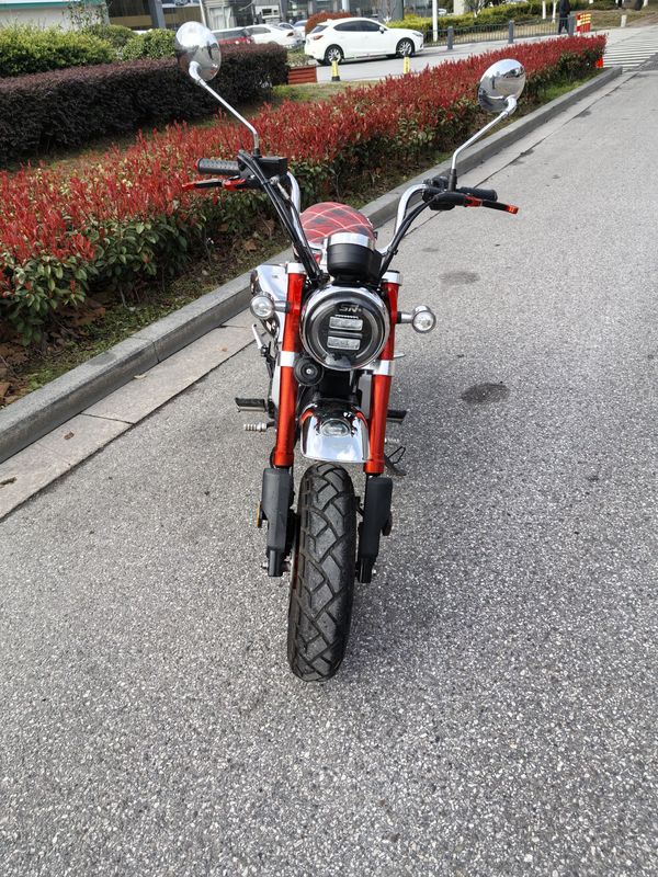 二手斯托纳猿猴