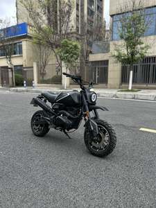 二手天地游侠布雷斯通 魔童 D5