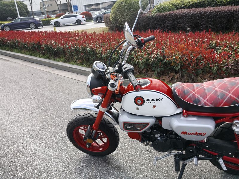 二手斯托纳猿猴